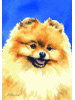 [Pomeranian Dog Banner]