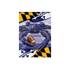 [Maryland Football Crab Banner]