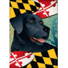 Maryland Flag with Black Lab Banner