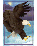 [Majestic Eagle Banner]