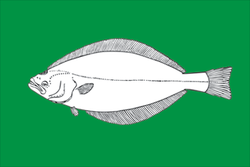 Halibut fisherman's catch flag