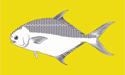 [Pompano - Fisherman's Catch Flag]