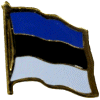 [Estonia Flag Pin]