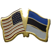 [U.S. & Estonia Flag Pin]