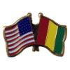 [U.S. & Guinea Bissau Flag Pin]