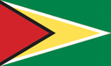 [Guyana Flag]