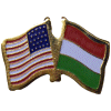 [U.S. & Hungary Flag Pin]