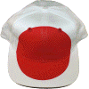 [Japan Hat]