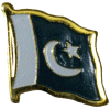 [Pakistan Flag Pin]