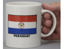 [Paraguay Coffee Mug]
