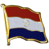 [Paraguay Flag Pin]