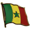 [Senegal Flag Pin]