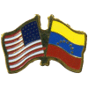 [U.S. & Venezuela Flag Pin]