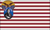 Know Nothings - GW flag