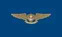 [Navy Air Warfare Gold Flag]