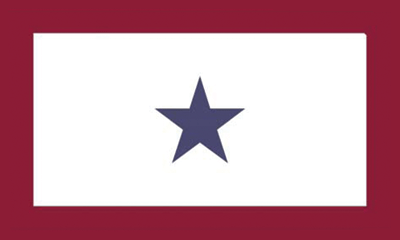 Service Star 3x5' Flag 1 Blue Star