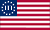 3 Percenter Flag