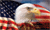 Proud Eagle Flag