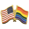 [U.S. & Rainbow Flag Pin]