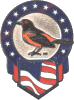 Orioles Spangled pin