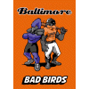 [Baltimore Bad Birds Banner Orange]