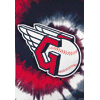 [Cleveland Guardians Tiedye Banner]