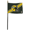 [Packers Stick Flag]