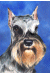 [Dog banners]
