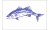 [Fisherman Catch flags]