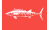 [Fisherman Catch flags]