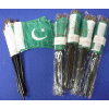 [Pakistan Desk Flag Special]